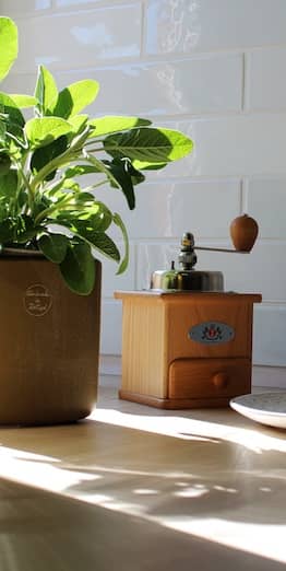 Detailausnahme einer Kaffeemühle