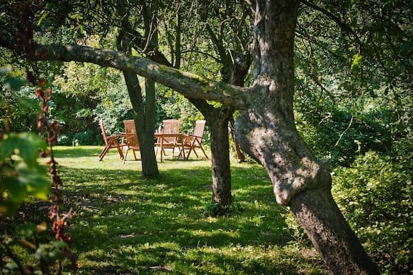 Sitzecke im Garten im Sommer