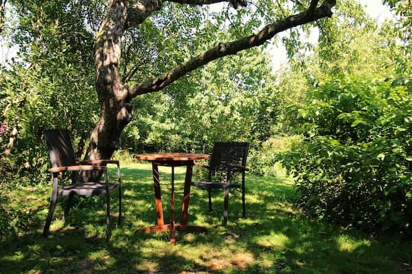 Sitzecke unter einem Baum