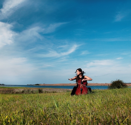 Festspiele Mecklenburg-Vorpommern