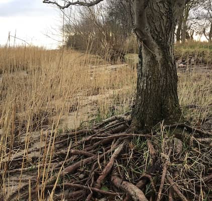 Stahlbrode - Tremt Strand