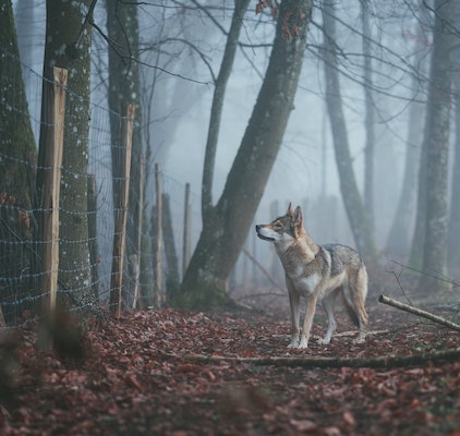 Hansestadt Stralsund