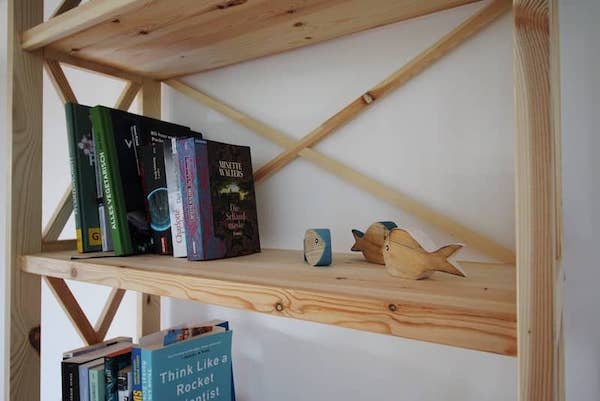 Wintergartenwohnung - Bücherregal